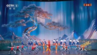 Роботи, кунгфу, Новогодишната гала