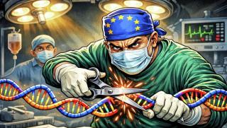 Евросъюз, джендър идеология, заличаване на жени, Брюксел, транссексуализъм, полова дисфория, либерализъм