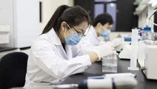 Китайски учени, молекулярен мост, лечение на рак