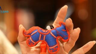 Конска бродерия, етноса Шуей, Гуейджоу