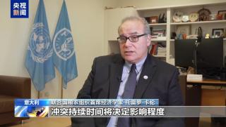 Главен икономист на ФАО, конфликт, Близкия изток , разходи, селскостопанско производство