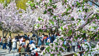 Китай, потребление, почивни дни, празника Цинмин