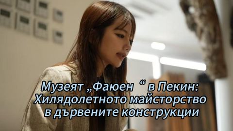 Музеят „Фаюен“ в Пекин: Хилядолетното майсторство в дървените конструкции