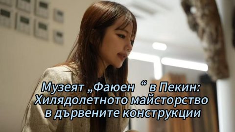 Музеят „Фаюен“ в Пекин: Хилядолетното майсторство в дървените конструкции