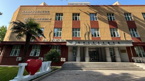 373 образователни институции и програми за сътрудничество предлагат магистърски или по-високи степени в Китай