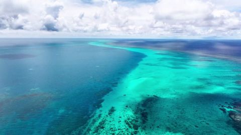 Състоянието на морската екология в Китай остава стабилно, в някои райони се отчита подобрение
