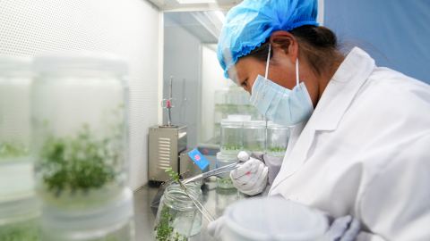 Китай запазва лидерската си позиция в световната научна продукция според класацията Nature Index 2026