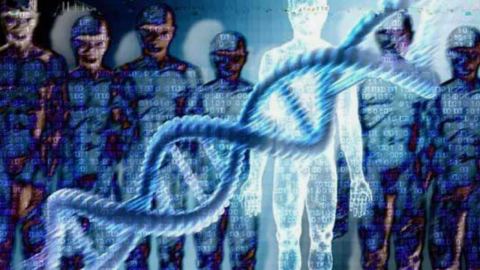 Биологичният абсурд на Homo Sapiens: Защо човешката анатомия противоречи на земната еволюция
