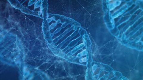 Защо 8% от човешката ДНК не отговаря на земната еволюционна хронология