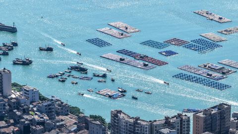 През първото полугодие морската икономика на Китай отбеляза стабилен растеж
