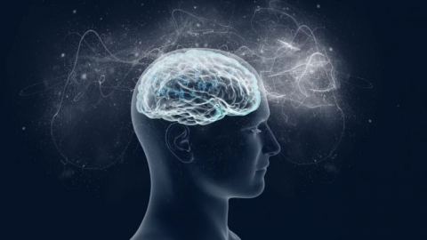 90% липсваща мозъчна тъкан и пълен дубъл на живота: Французинът от Lancet