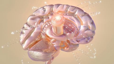 Калифорнийският технологичен институт изчисли скоростта на човешката мисъл: Едва 10 бита в секунда