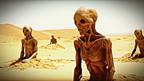 Тежкият тонаж на пещерните гробници: Защо Homo naledi счупи анатомичните шаблони на палеоантропологията