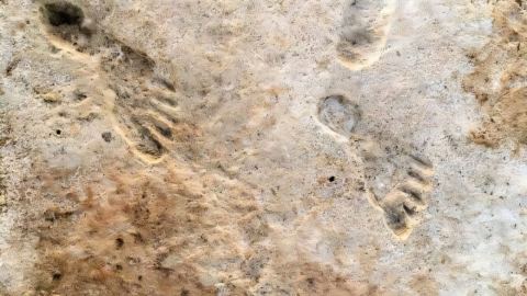 55 радиовъглеродни датировки и 10 000 години разлика в историята на Америка