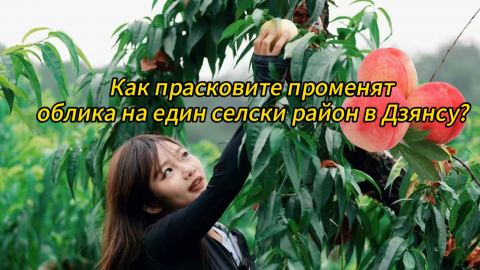 Как прасковите променят облика на един селски район в Дзянсу?