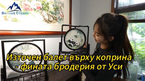 Източен балет върху коприна - фината бродерия от Уси