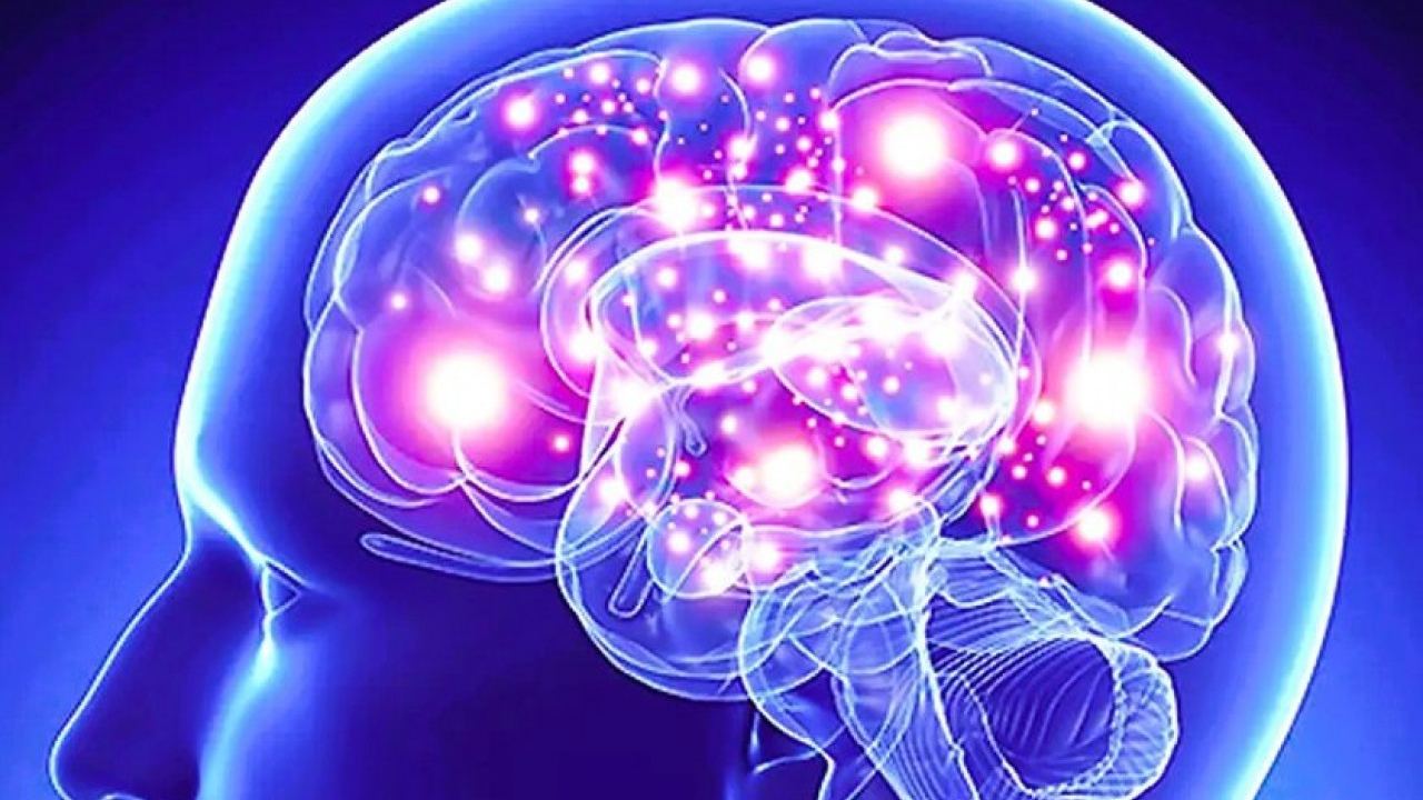 Алгоритми дешифрираха как мозъкът компенсира загубата на цели функционални зони