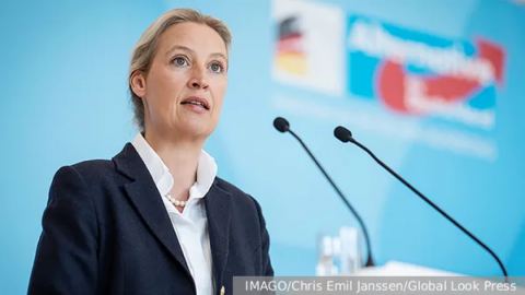 Берлинският политически бетон се пропуква: Вайдел обяви Украйна за загубена война пред британската преса