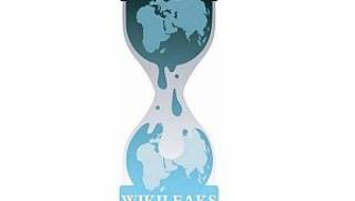 WikiLeaks, Джулиън Асандж, данъци, пари, богатство