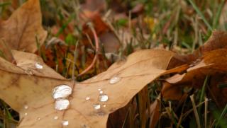 времето, слънце, есен