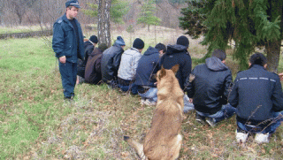 Имигранти, Малко Търново, Резово