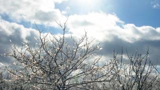 времето, прогноза, облачно