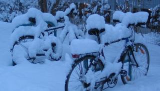 Зима, сняг, студ