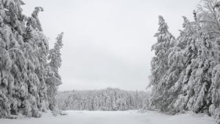 Код "Оранжево", времето, зима