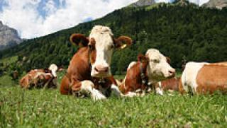 Испанци, се връщат, село