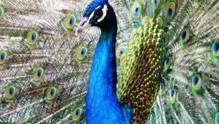 Времето, слънчево