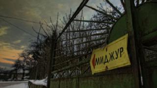 Ломска рулетка, 15 новопоробени българи