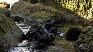 The Guardian, Тръмп, разкри, Тюлени, Туитър