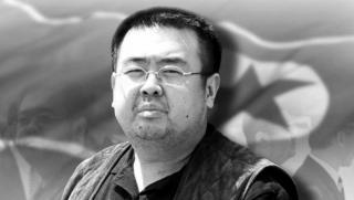 Убит брат, Ким Чен-ун, информатор, ЦРУ