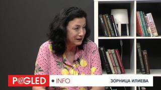 Зорница Илиева: Солунската митница не може вече да е наша мечта Зорница Илиева, Солунска митница, Гърция, избори, Турция, Истанбул, избори