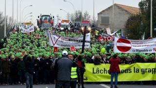 DWN, политици, фермери, излеят, гняв, улици, френски, немски, градове