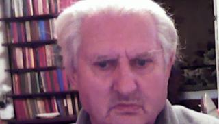 Владимир Троян, Икономическа същност, преходния период