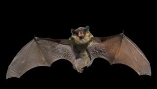 ВИЦ, един човек, променя, света