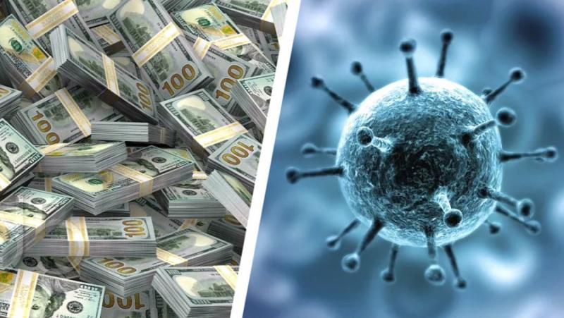 Огромен брой измамници се възползваха от безпрецедентната програма за финансова