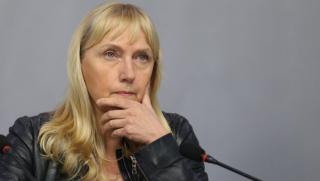 Елена Йончева, мониторингова група, демокрация, Европейски парламент