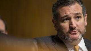 Insider, Американски сенатор, Тед Круз, извинение, избягал, курорт, Тексас, студ