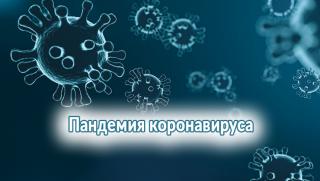 СЗО, Пандемия, приключва, средата на 2022 г.