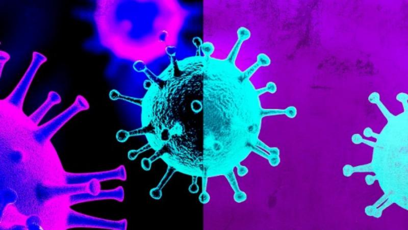 Краят на глобалната пандемия вече се вижда, каза в сряда