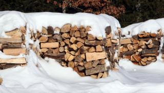 Цените на борсовите търгове за дърва за огрев в Украйна