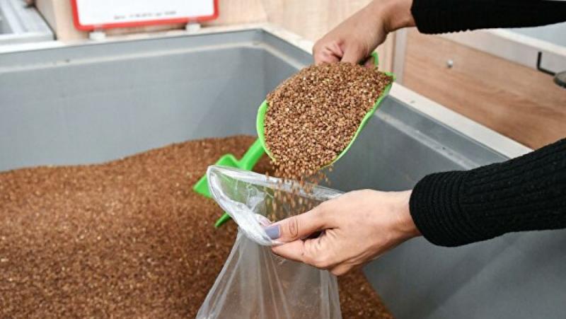 В Украйна беше открито нещо ужасно: половината от елдата, изядена