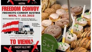 След решението на Бундесрата да въведе задължителна ваксинация в Австрия