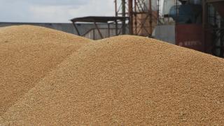Западните санкции принудиха Москва да намали износа на зърно защото