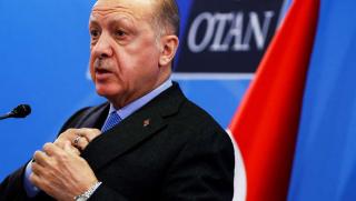 Турският президент Реджеп Тайип Ердоган каза че Русия и Украйна