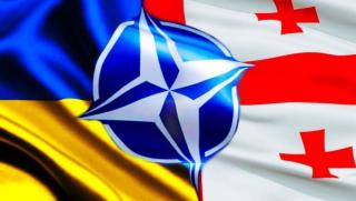 Грузинските въоръжени сили вече са по съвместими с НАТО от всякога