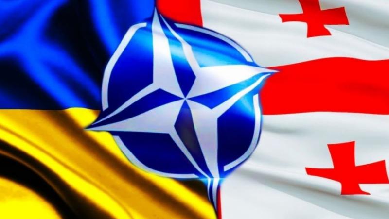 Грузинските въоръжени сили вече са по-съвместими с НАТО от всякога,