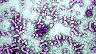 Случаите на мистериозен вирус на хепатит в Европа и САЩ